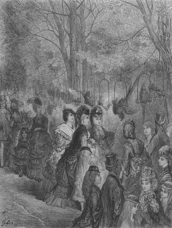 Zoologisk Have, Fuglene af Gustave after Dore