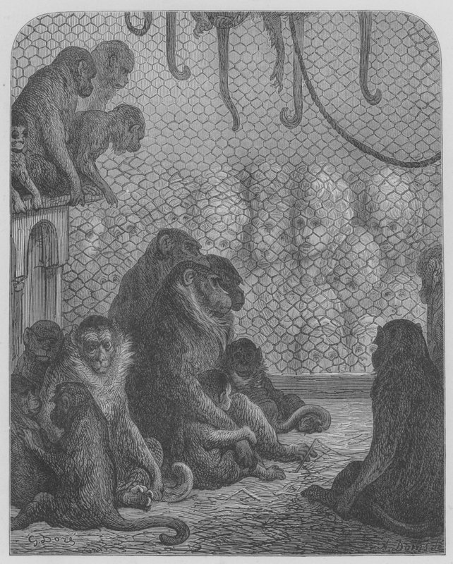 Zoologisk Have, Aberne af Gustave after Dore