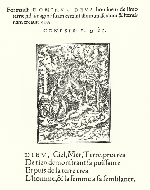 Skabelsen (gravering) af Hans (after) Holbein the Younger