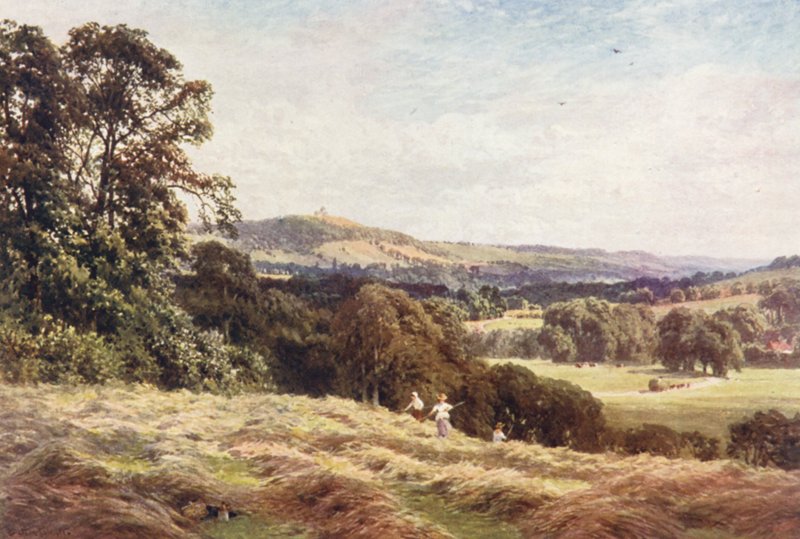 A Hayfield, Wonersh (farvelitografi) af Harold Sutton Palmer