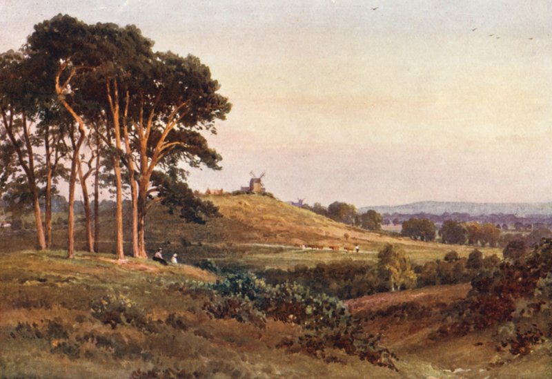 Reigate Heath, aften (farvelitografi) af Harold Sutton Palmer