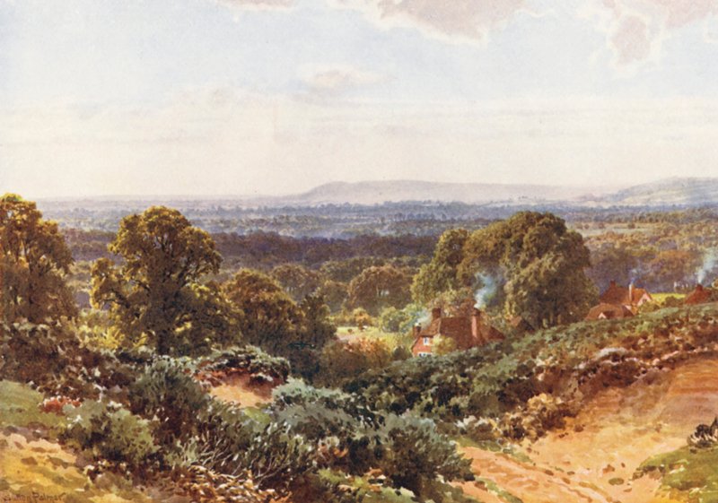 Sandhills, kigger mod Blackdown (farvelitografi) af Harold Sutton Palmer