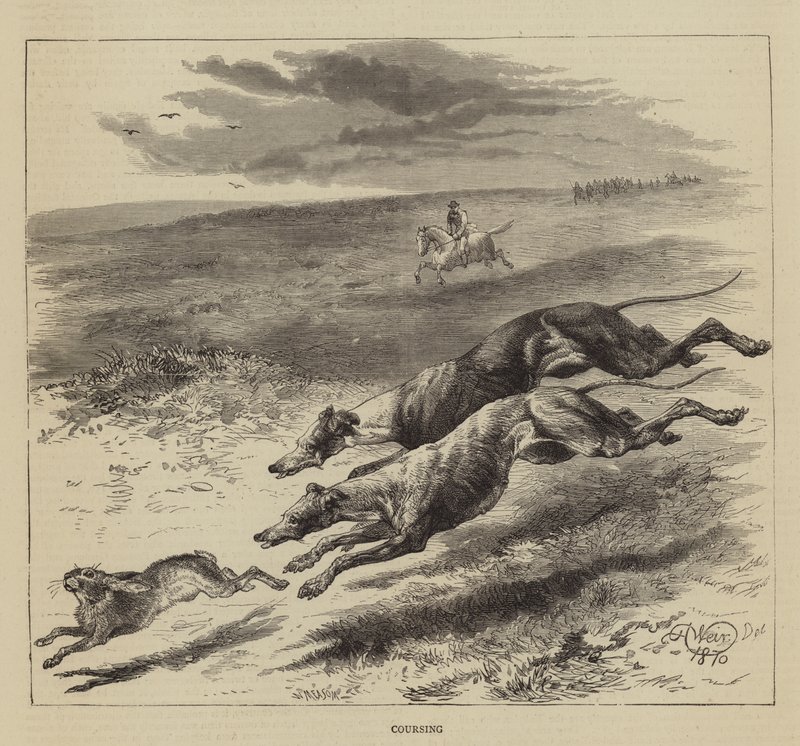 Kurser af Harrison William Weir
