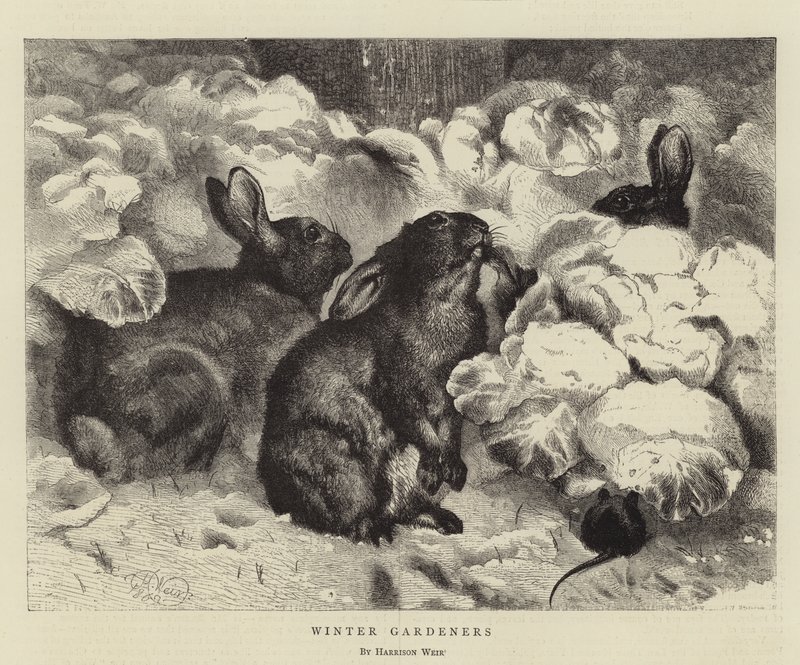 Vintergartnere af Harrison William Weir