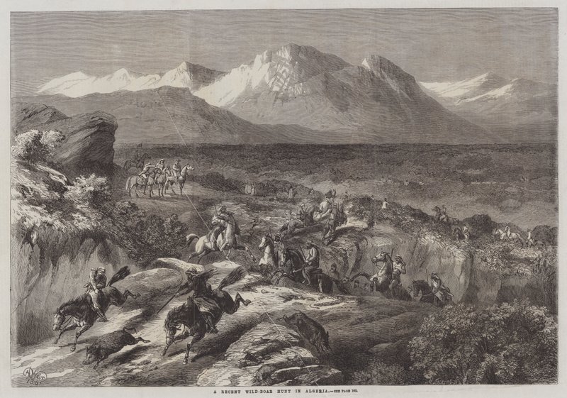 En nylig vildsvinejagt i Algeriet af Harrison William Weir