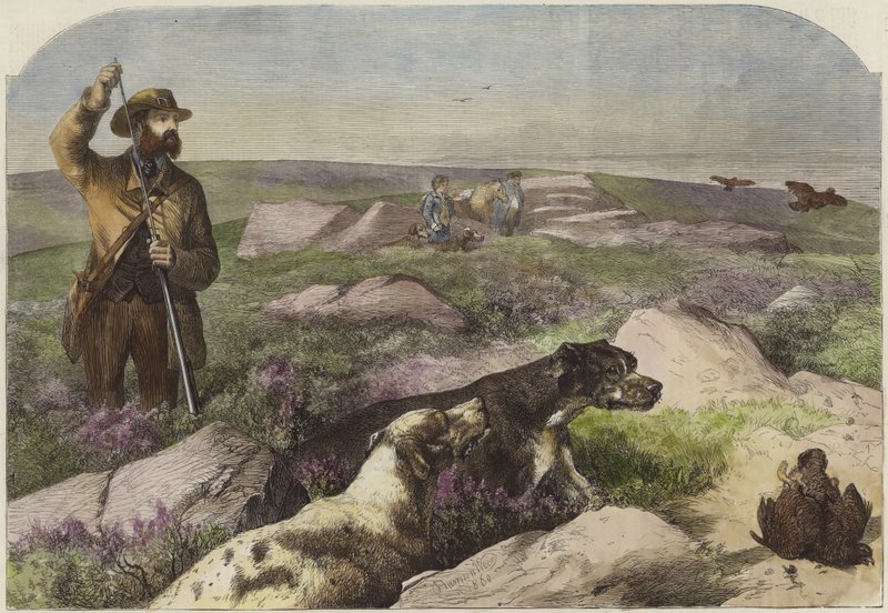 Rypeskydning af Harrison William Weir