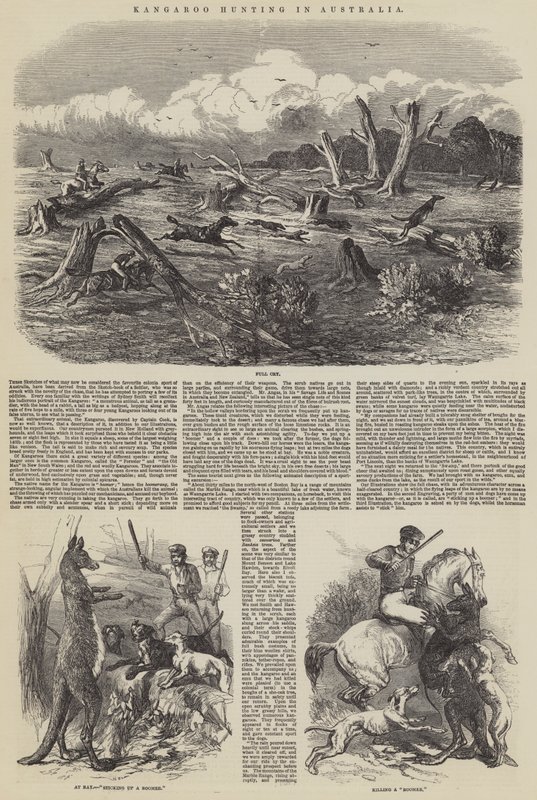Kængurujagt i Australien af Harrison William Weir