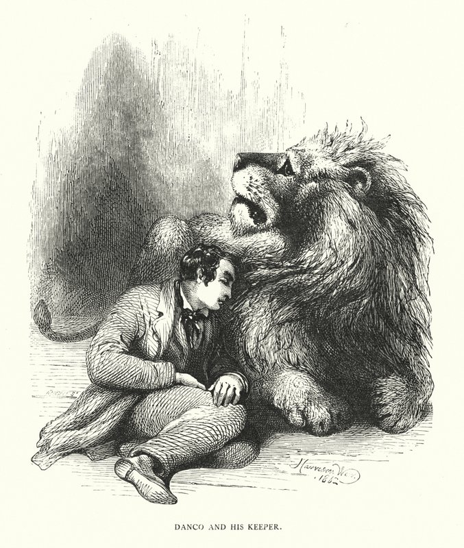 Løve og hans vogter (gravering) af Harrison William Weir