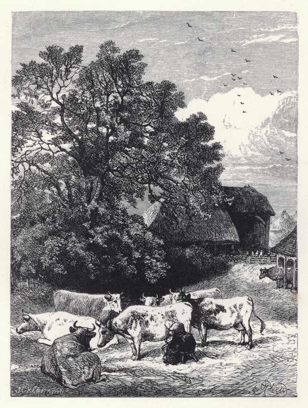 Malkning af køerne (gravering) af Harrison William Weir