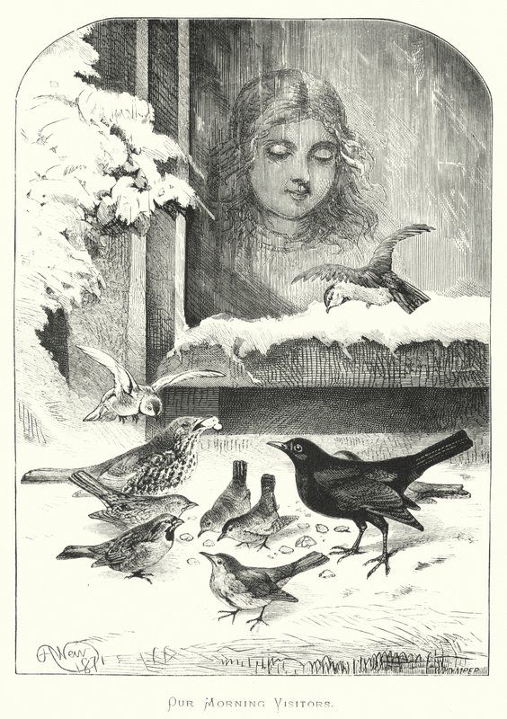 Vores morgengæster af Harrison William Weir