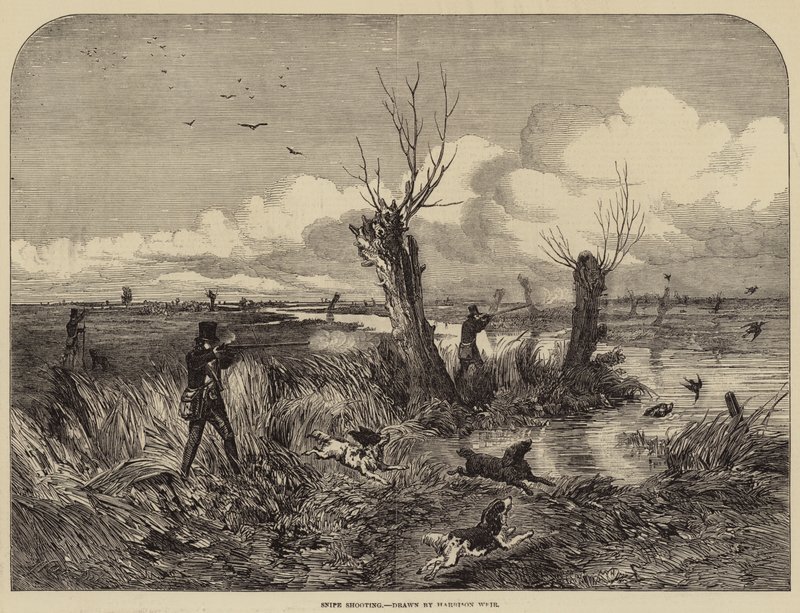 Snip Shooting af Harrison William Weir