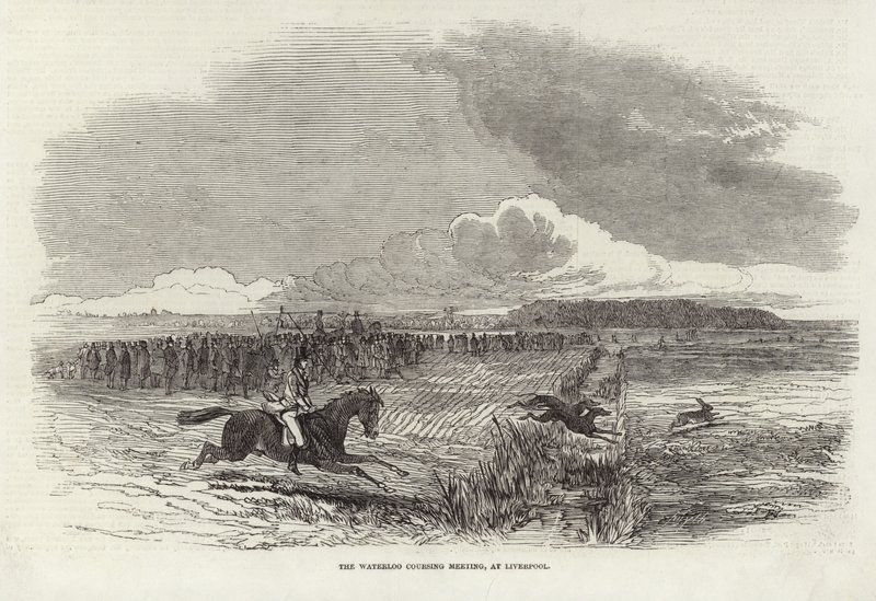 Waterloo Coursing-møde af Harrison William Weir