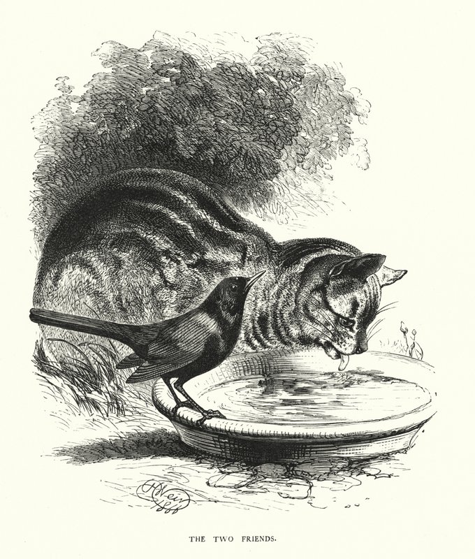 De to venner (gravering) af Harrison William Weir