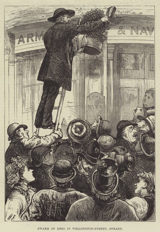 Sværm af bier i Wellington-Street, Strand af Harry Furniss