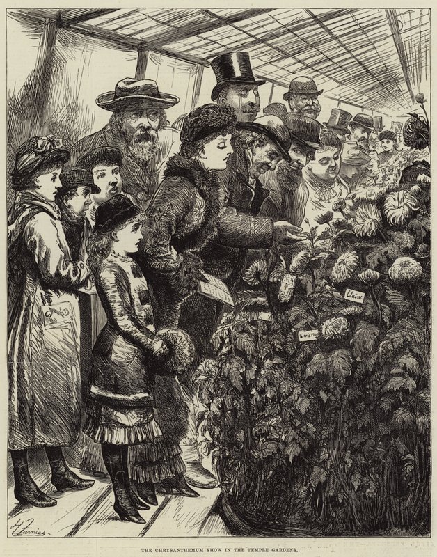 Krysantemumshowet i tempelhaven af Harry Furniss