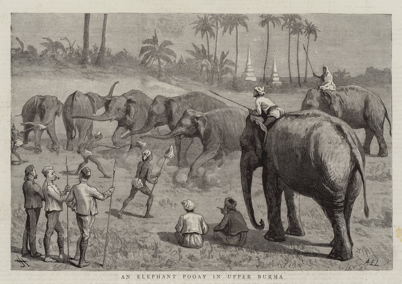 En elefantpud i Øvre Burma af Harry Hamilton Johnston