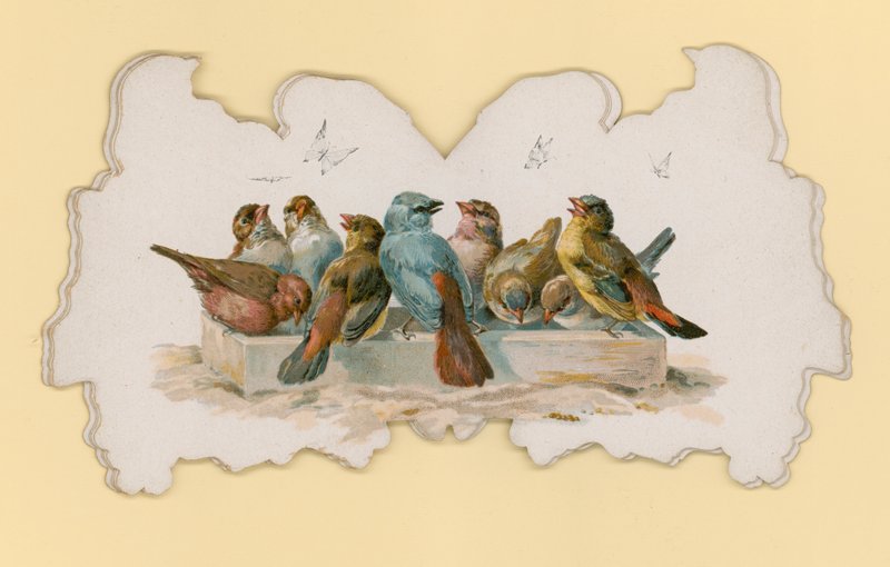 Fugle (farve litho) af Hector Giacomelli