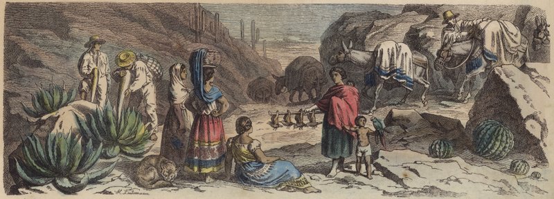 En bjergvej i Mexico (farvet gravering) af Heinrich Leutemann