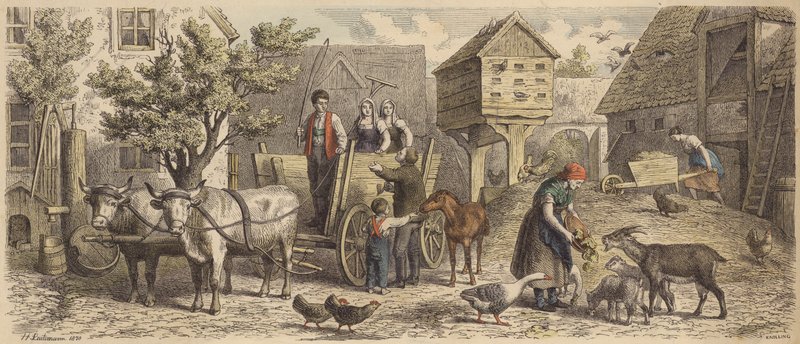 Gård i Sachsen (farvet gravering) af Heinrich Leutemann