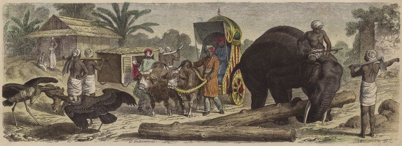 Scene i Bengal, Indien (farvet gravering) af Heinrich Leutemann