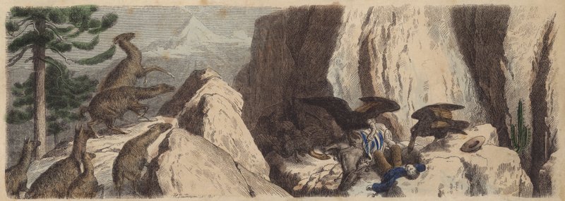 De chilenske Andesbjerge (farvet gravering) af Heinrich Leutemann