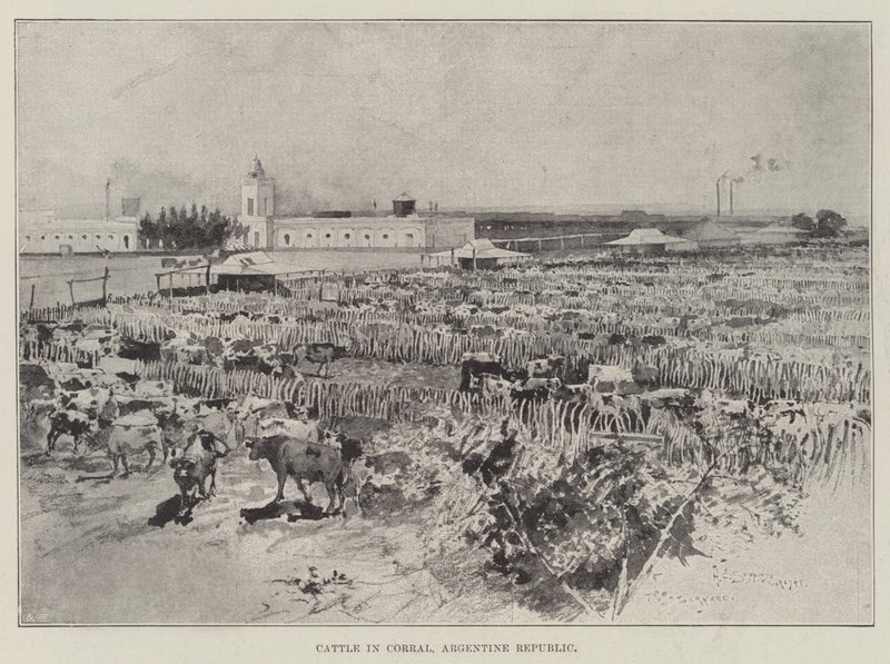 Kvæg i Corral, Den Argentinske Republik af Henry Charles Seppings Wright