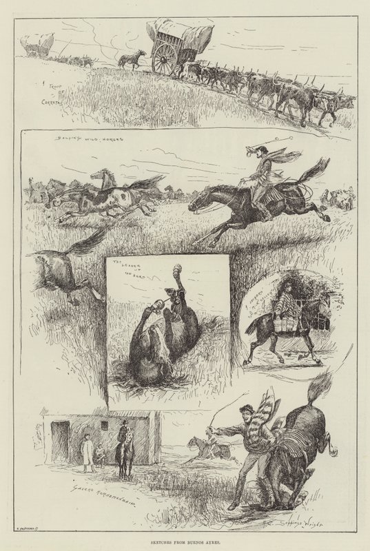 Skitser fra Buenos Ayres af Henry Charles Seppings Wright