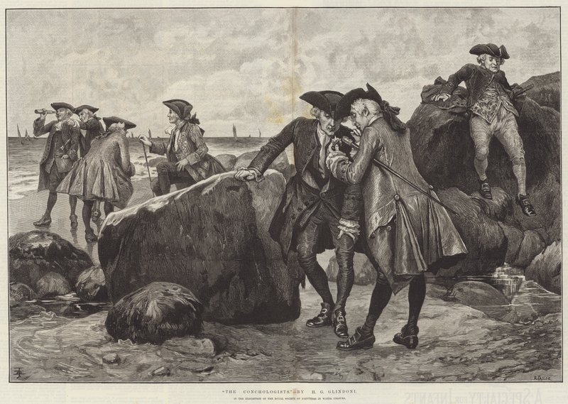 Conchologists af Henry Gillard Glindoni
