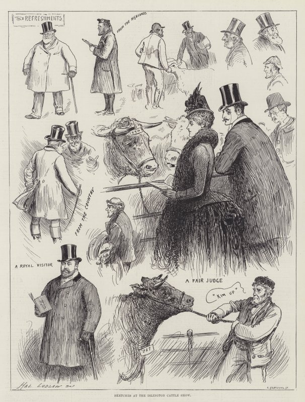 Skitser på Islington Cattle Show af Henry Stephen Ludlow