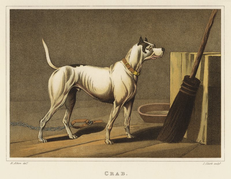 Krabbe (chromolitho) af Henry Thomas Alken