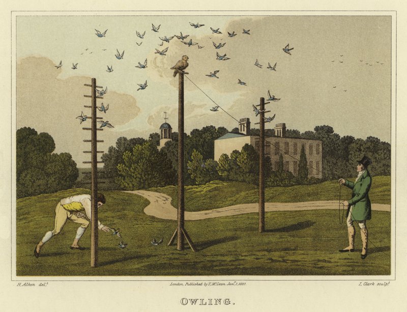 Ugle (chromolitho) af Henry Thomas Alken