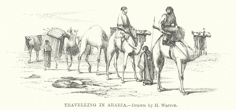 Rejser i Arabien (gravering) af Henry (after) Warren