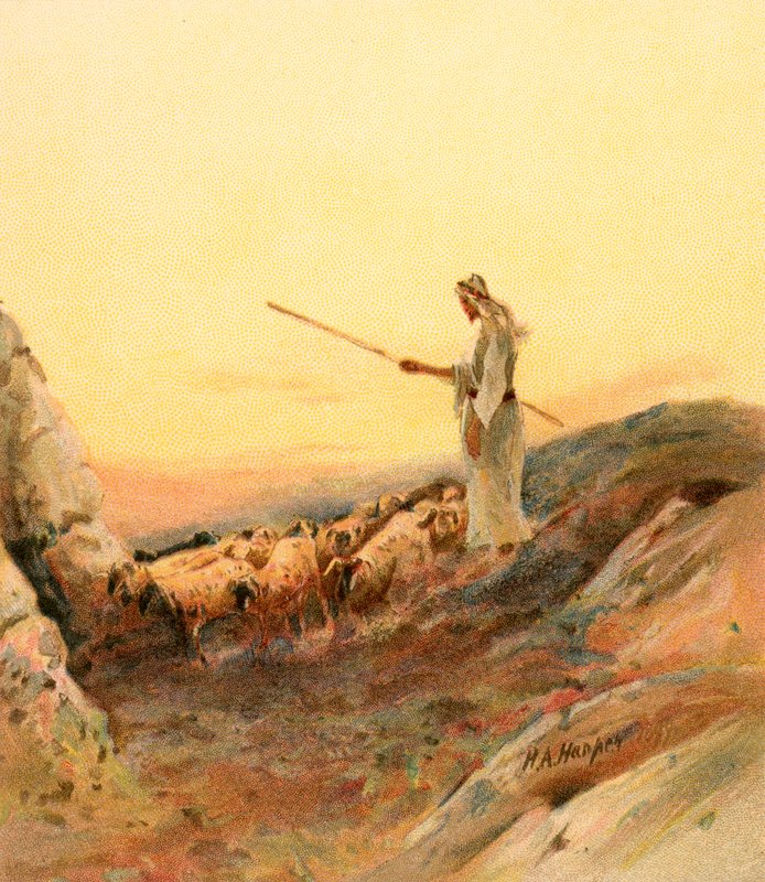 En hyrde tæller sine får af Henry Andrew Harper