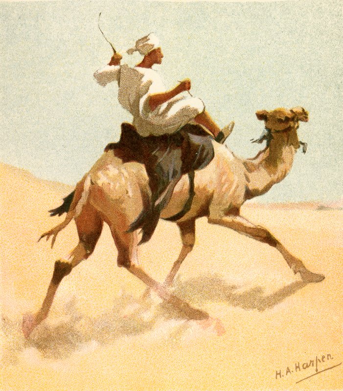Et arabisk postbud af Henry Andrew Harper