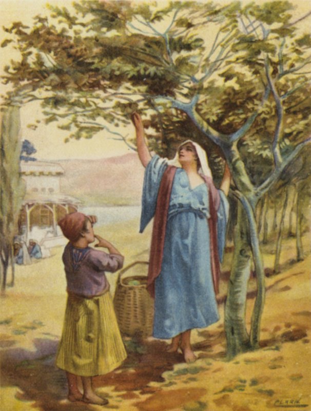 Indsamling af figner (farve litho) af Henry Andrew Harper