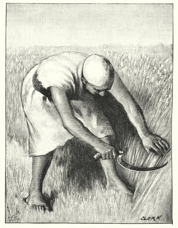 Høst i øst (litho) af Henry Andrew Harper
