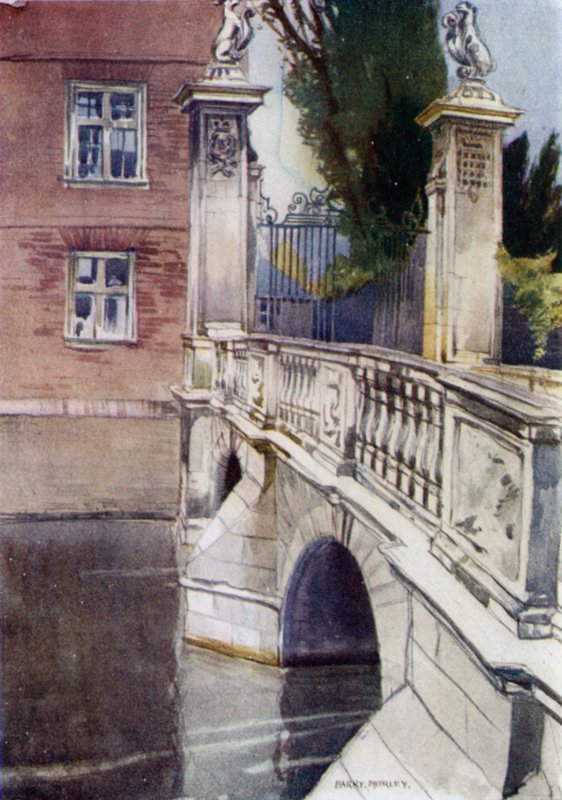 Wrens Bridge, St. Johns af Henry Morley