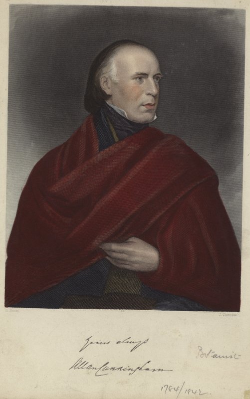 Allan Cunningham af Henry Room