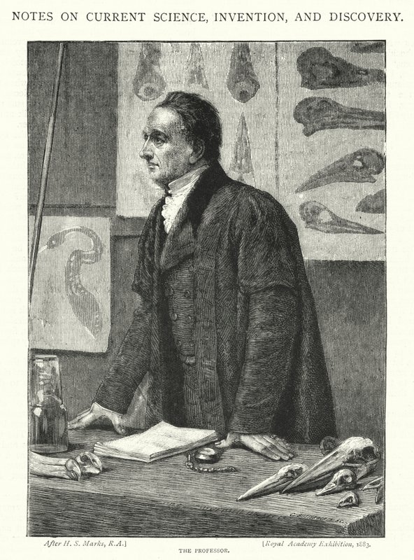 Professoren (gravering) af Henry Stacey (after) Marks