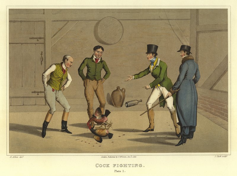 Hanekamp (chromolitho) af Henry Thomas Alken
