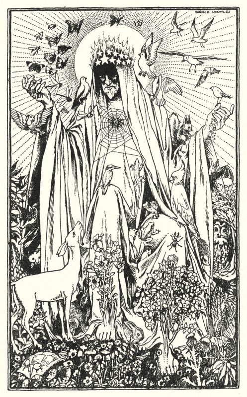 Rødbryst (litografi) af Horace J. Knowles