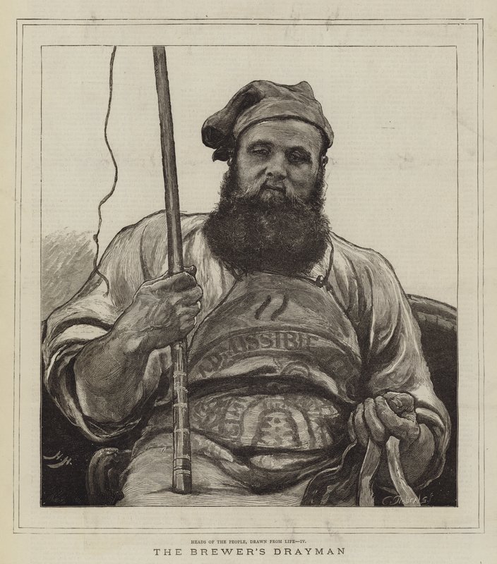 The Brewer