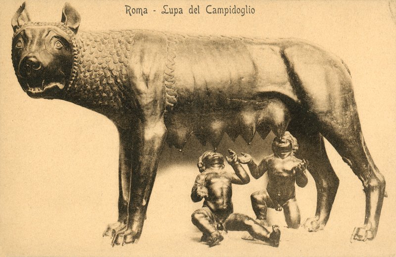 Rom, ulv fra Campidoglio af Italian Photographer