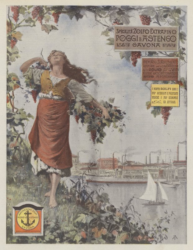 Poggi  Astengo (farvelitografi) af Italian School