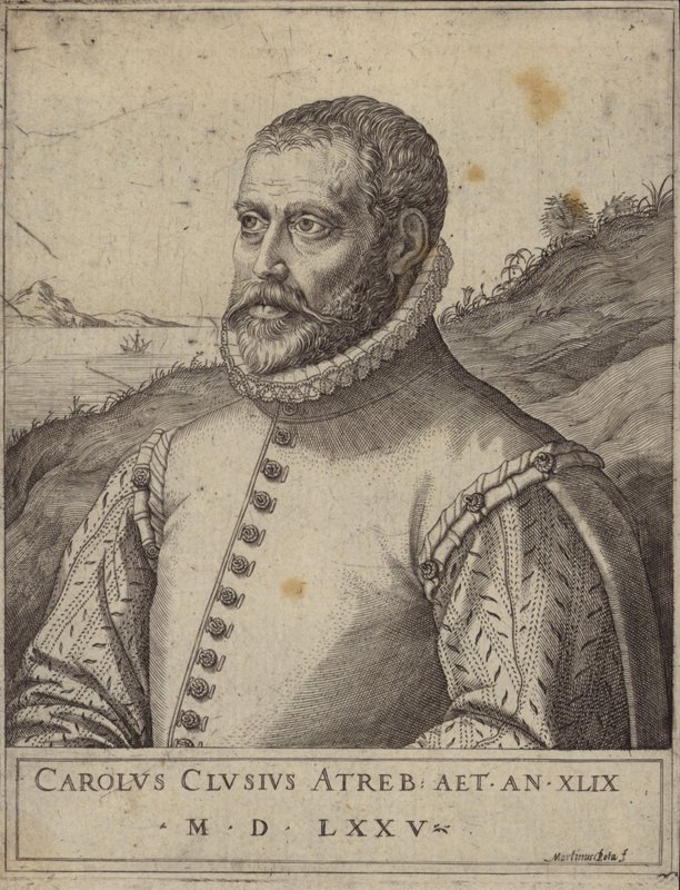 Portræt af Carolus Clusius af Italian School