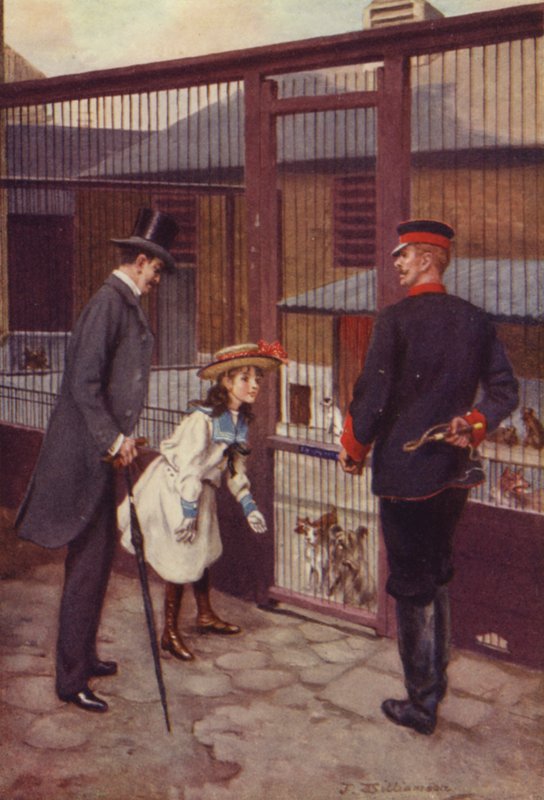 Ethel finder Scamp af J. Williamson