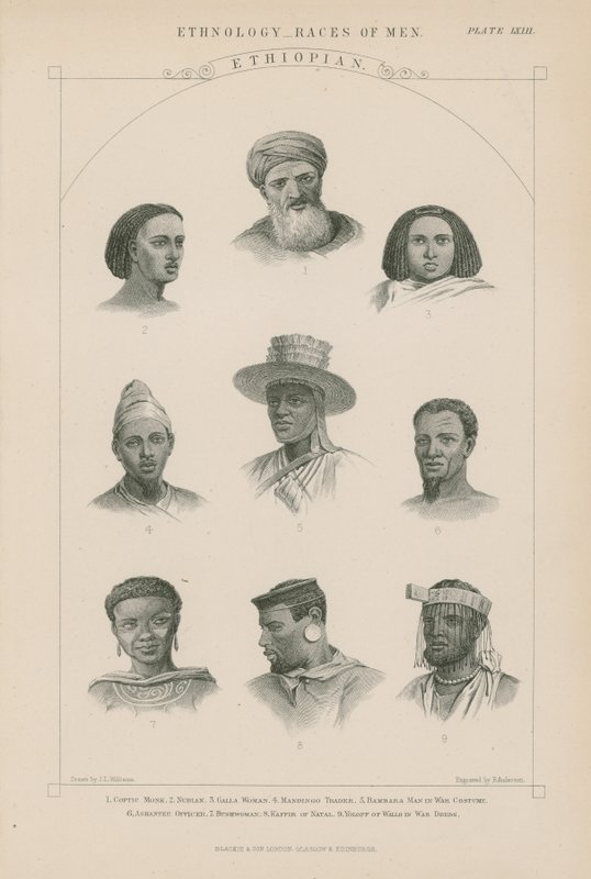 Ni ansigter af etiopiske folk af J.L. Williams