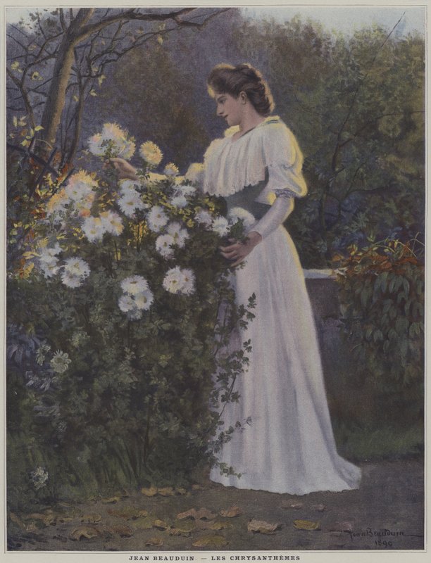 Les Chrysanthemes (krysantemum) af Jean Beauduin