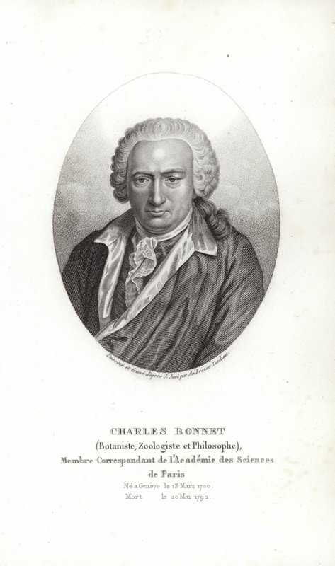 Charles Bonnet af Jens Juel