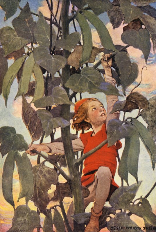 Jack og bønnestagen (farvelitografi) af Jessie Willcox Smith
